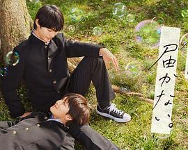 智慧云网平台的seo优化方案